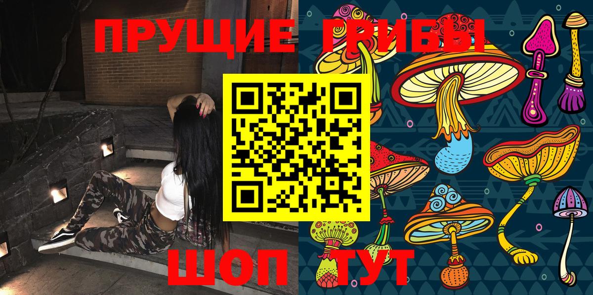 Галлюциногенные грибы GOLDEN TEACHER  Вход с VPN  даркнет сайт  Реутов 
