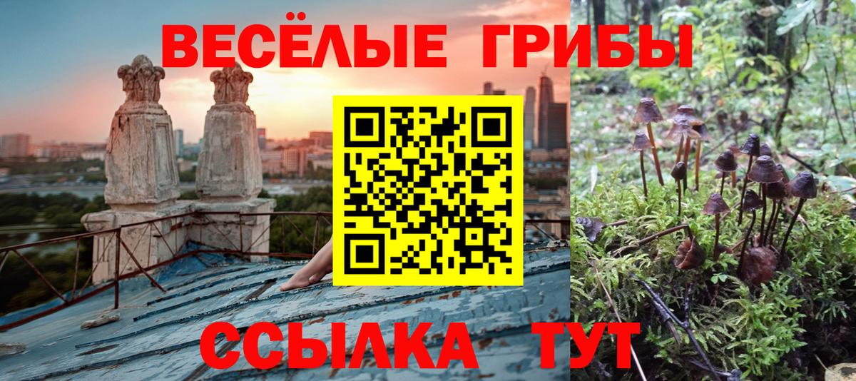 Галлюциногенные грибы ЛСД Реутов